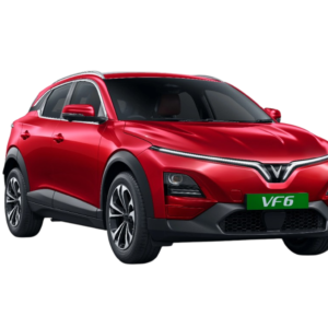 Vinfast V6 (EV)